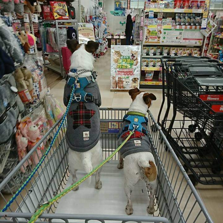 99f36243 848c 4fbf 8fdf 8ff198233967 1580800939774