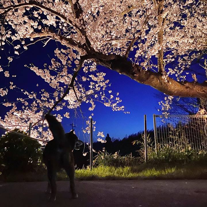 99f36779 8457 425e 9133 ee1f1f52c09e 1649772745477