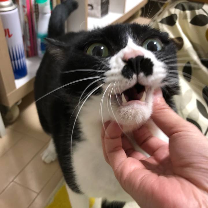 99f3698c 5710 453d b26a 73fc864652e1 1544453875714