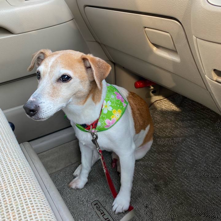 99f392aa b34d 4bd0 a2a4 d81d326a57d0 1615716253384