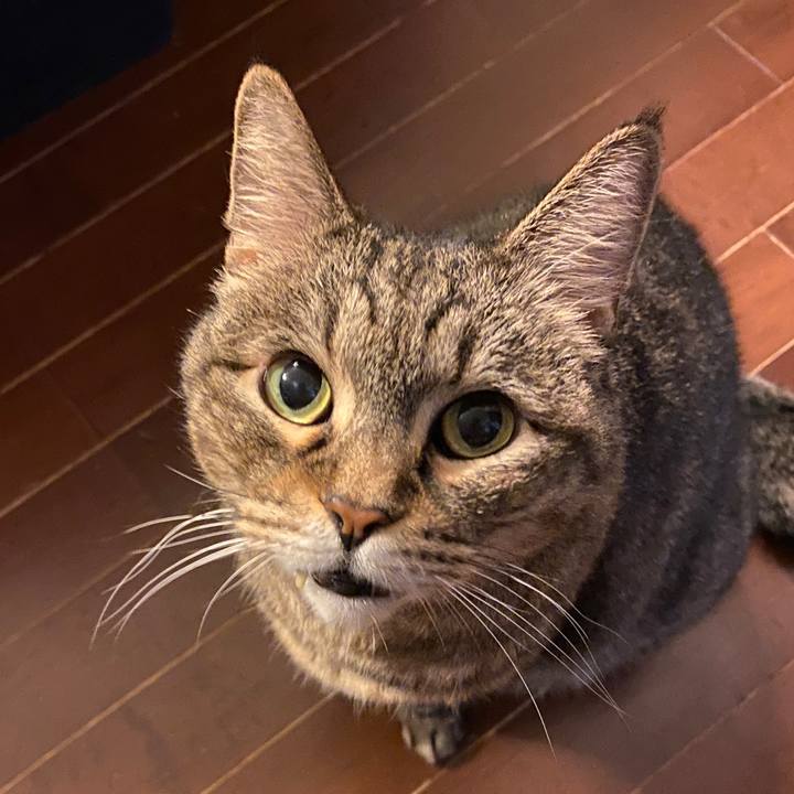 99f39c6e 76de 4dab 9993 8385793002df 1697356068509