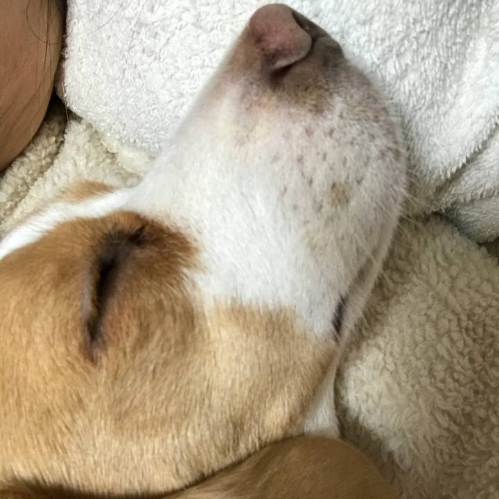 99f3c16c 6ff9 4cde a92a e7caf0e6a777 1519363118204