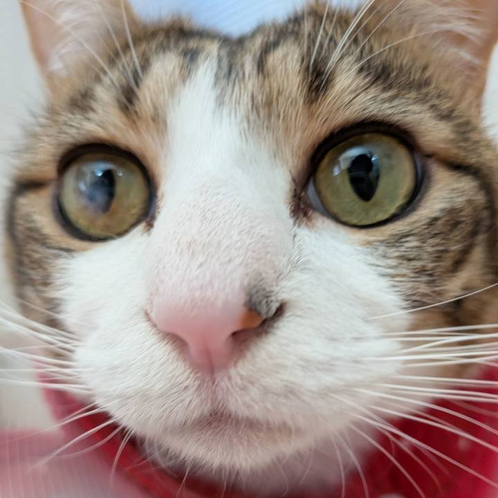 99f3ccc4 0053 42c0 b6af 707a6be09bc5 1774693699622