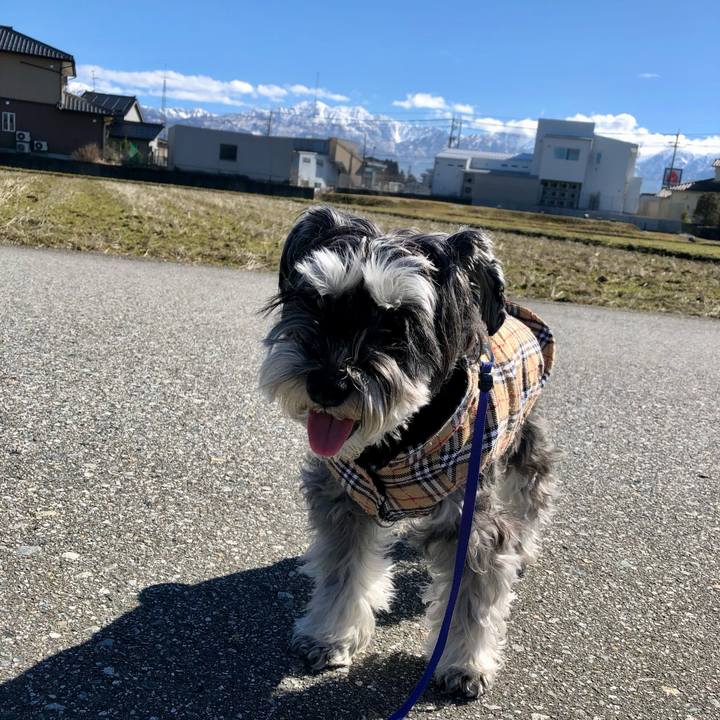 99f3f08e 34db 4e62 96bb 08e0cfa2580c 1708261158541