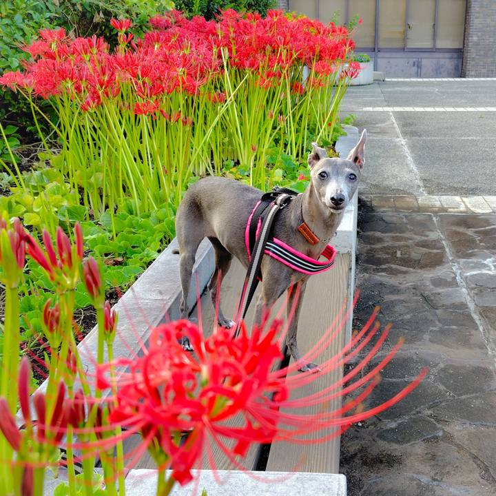 99f414f3 0051 4f8c 944a 2137049ca6f3 1758883714628