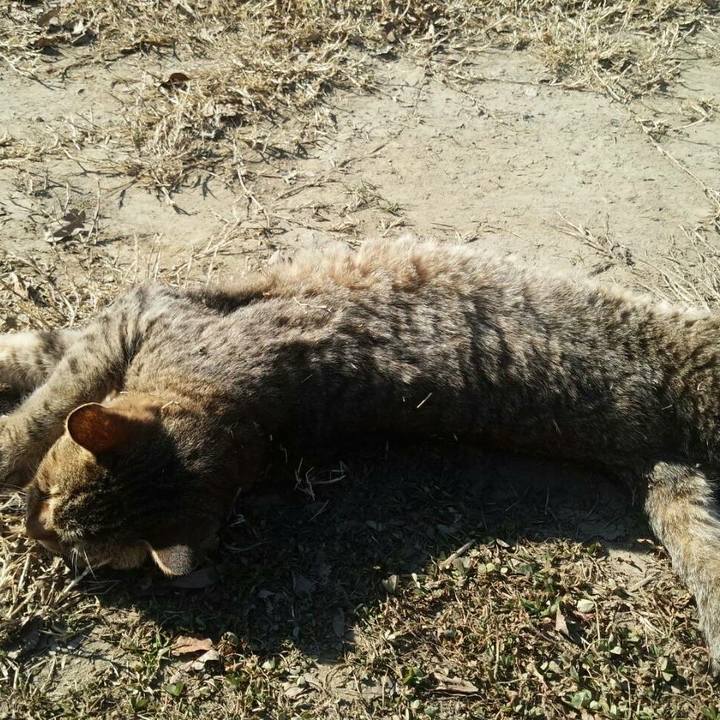 99f43f92 cca9 4c49 87a4 84fff74fd642 1513677057796