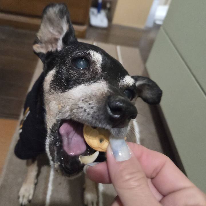 99f44370 f155 45fa 9e08 0a64936009b1 1771271281363