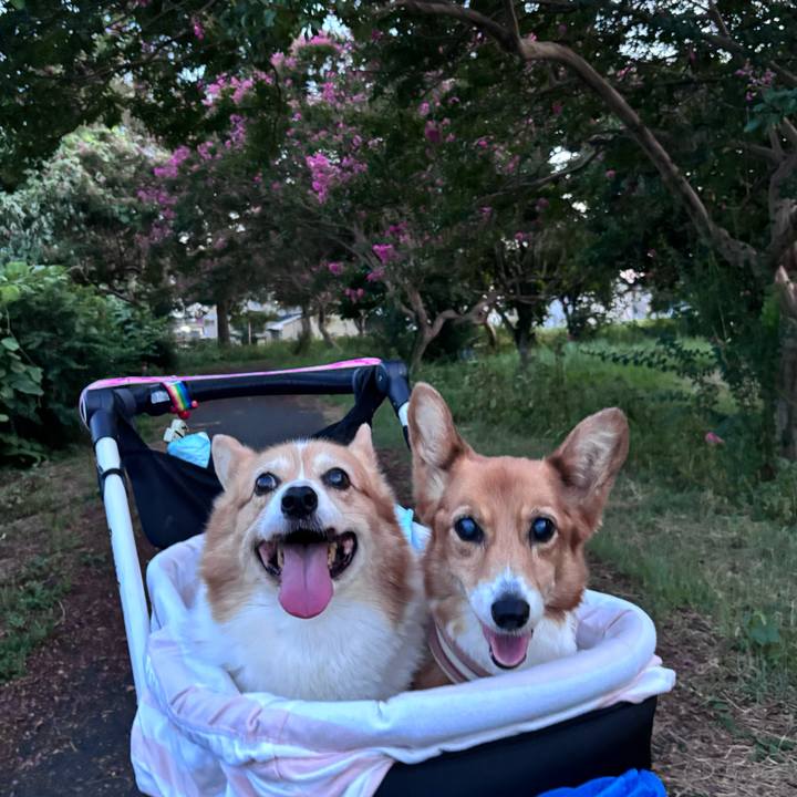 99f44eb2 1293 4aeb 91d6 e04229e52429 1757238226320