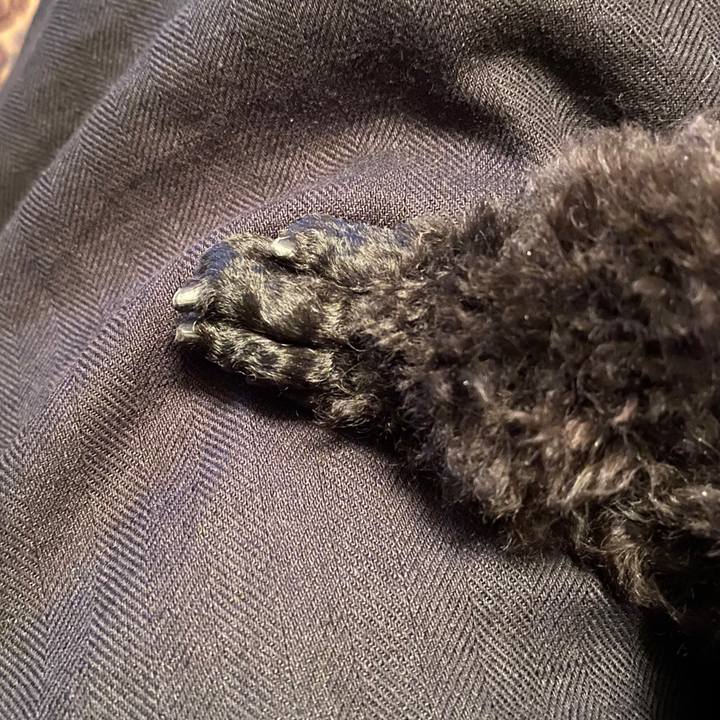 99f497b8 4661 42cf acfa 474b5e0991ed 1586604736556