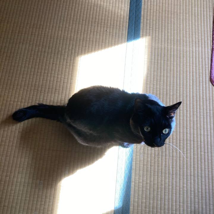 99f4ac58 446b 4459 be8e 6cc0a02580fc 1602813589669