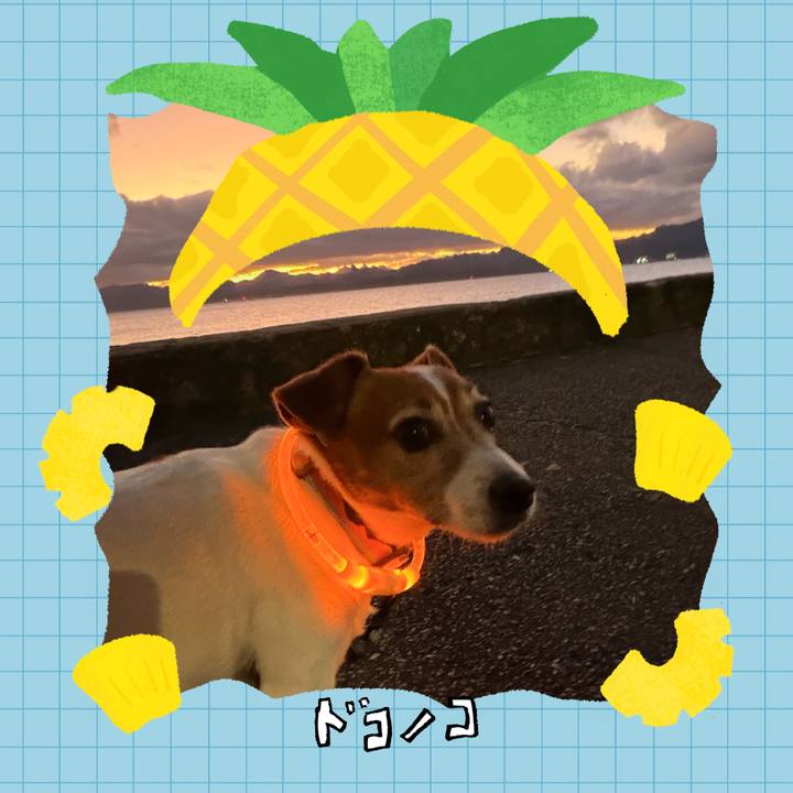99f4b110 9354 4933 bfd9 d7a7288b2ea8 1783505211880