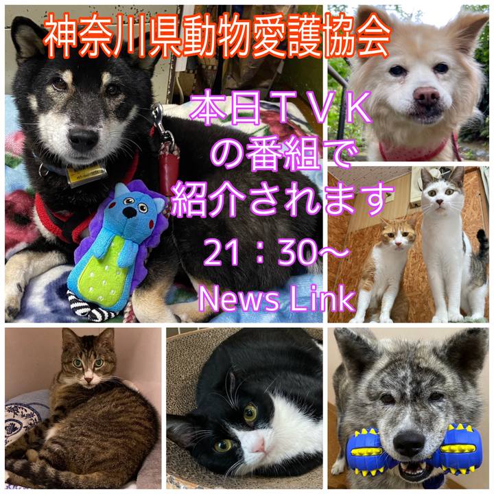 99f4bf22 abfb 4c18 b787 4558f38cc0d5 1687934737682