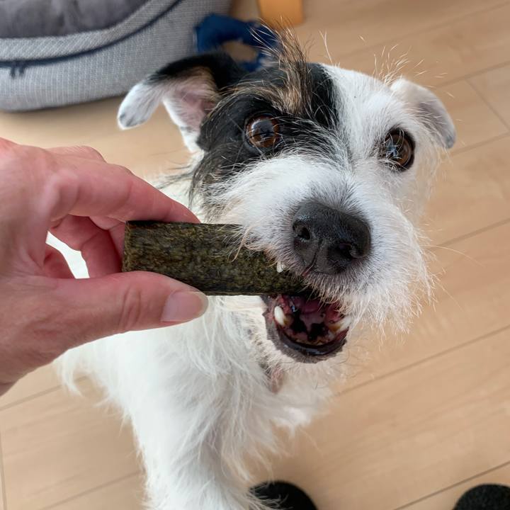 99f4c18a 71dc 4bd0 b163 47ebd447d704 1666241253838