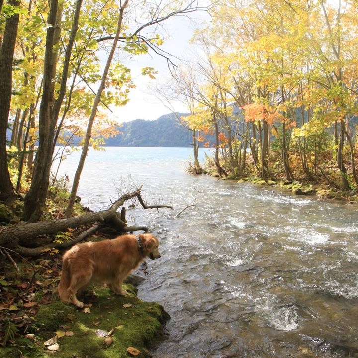 99f4cec1 22c2 4158 8bee 7e70c80967aa 1764232580617