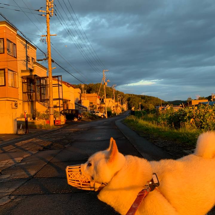 99f4fe36 e2ef 4dbb b129 17cdd2c509fb 1599166114349