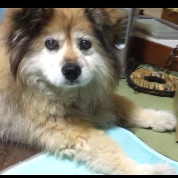 99f56804 3403 42a5 bcba 4012172384fb 1571397518032