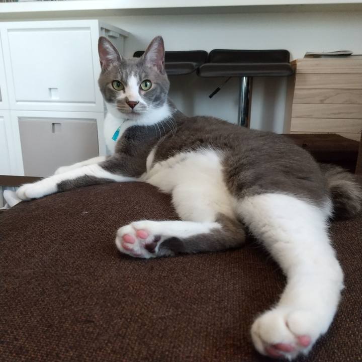 99f58328 1c5e 400e b17d 00a1b3926bde 1619229195642