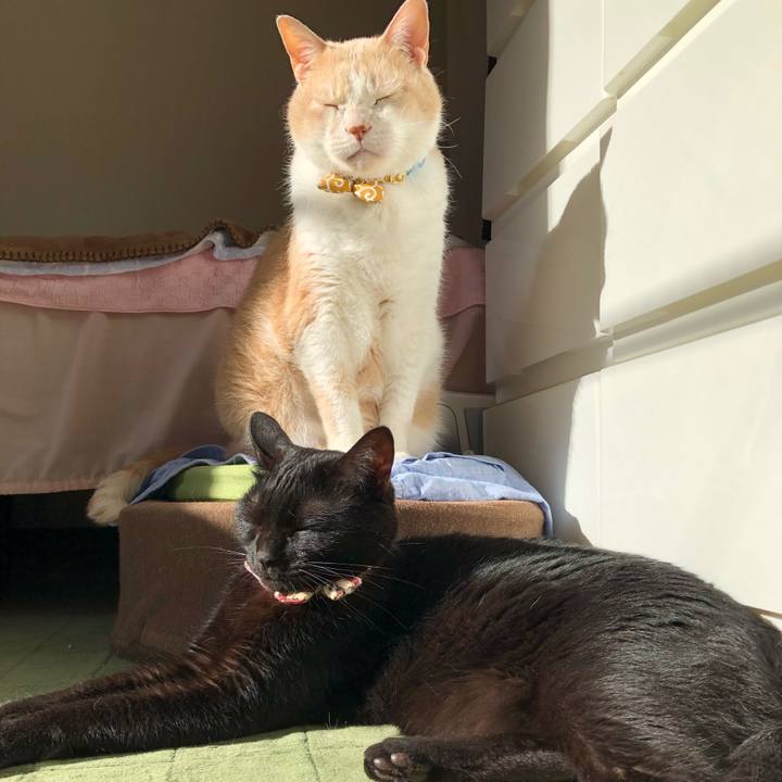 99f5ab52 a2e1 4eeb 9e1c 0f5d5c2216fb 1588847524632