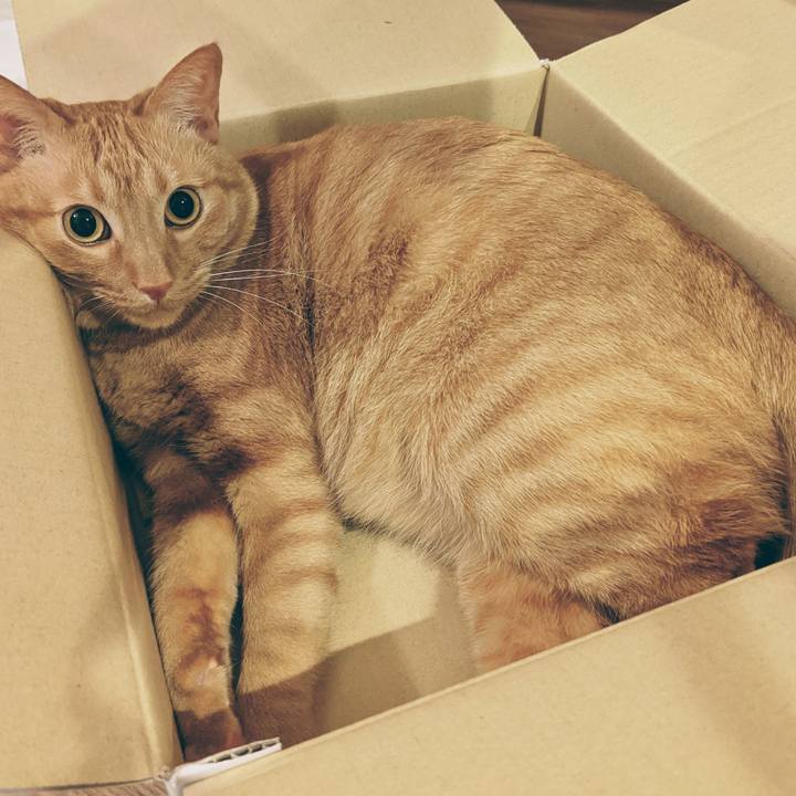 99f5be4c 0e71 4413 9d04 70fe26f6e870 1620902209586