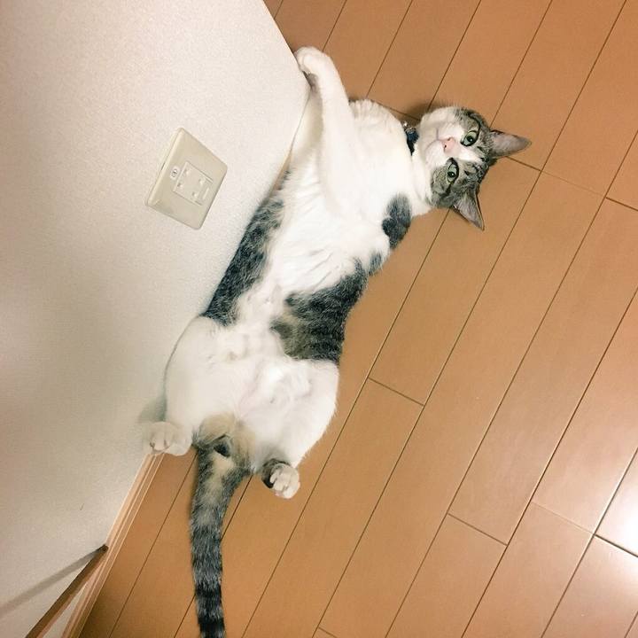 99f5db40 935f 40cd badb cfa5cad91a8a 1531822629216