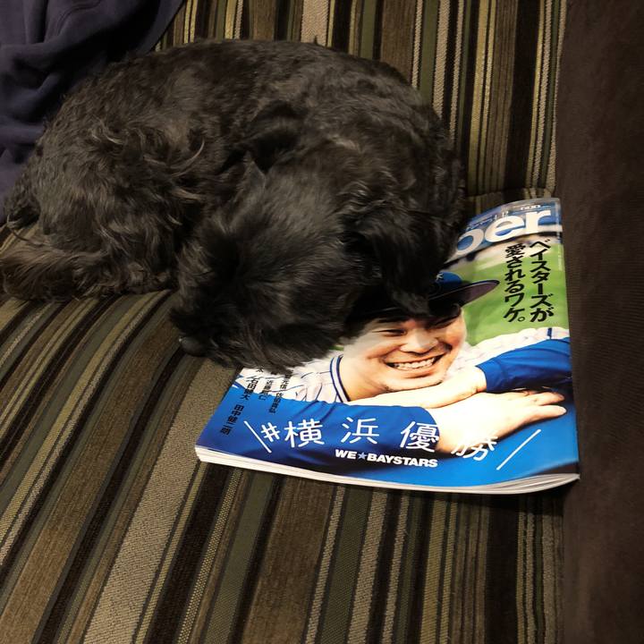 99f5dc72 3944 43e1 b866 ddefbead0057 1522358542287