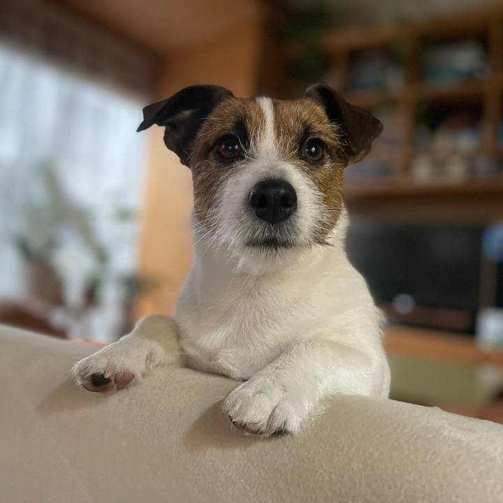 99f606a0 2aeb 404e 89a3 143ad57e32a8 1707350457356