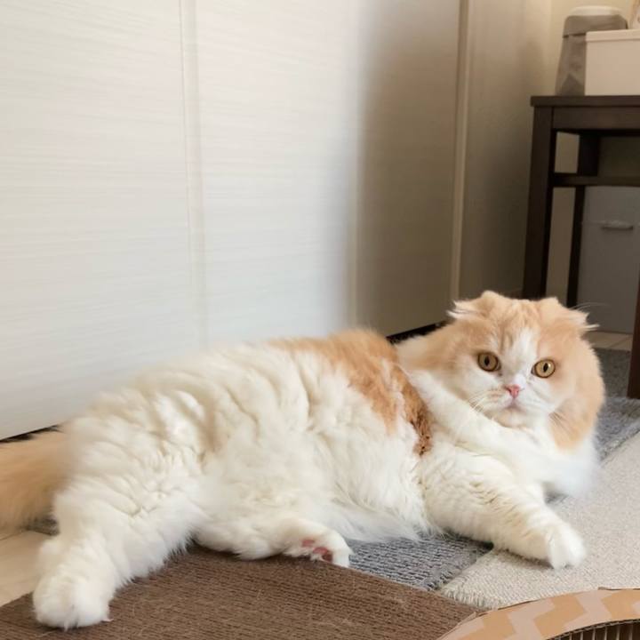 99f60905 0148 4b0e a04c 6db26c569228 1626917685951