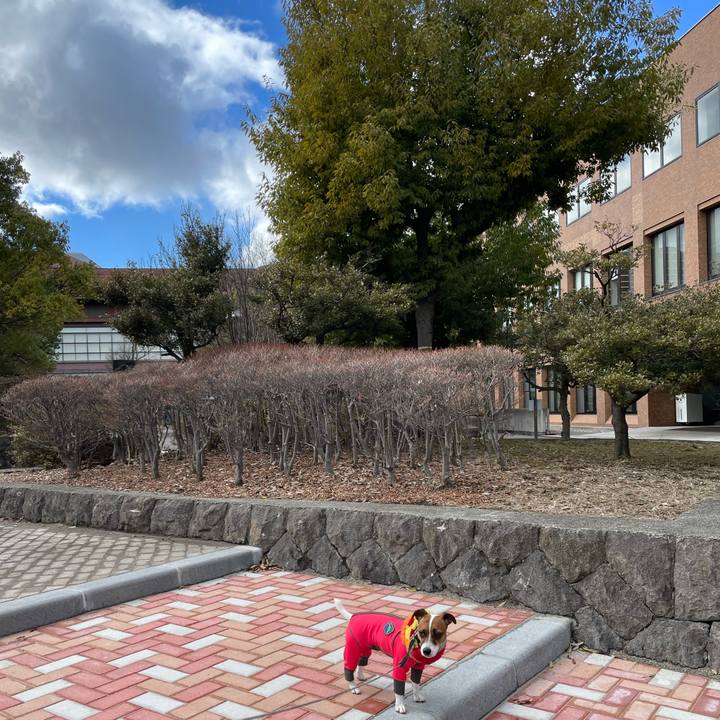 99f669ef 9319 4ccb 9cc4 e969642b3ea7 1645357417773