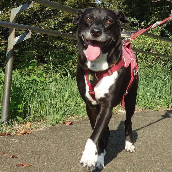 99f6d751 ee8b 4989 b7f8 6b74c840d6ac 1696207438483