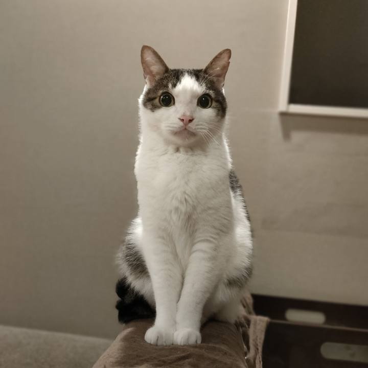 99f6ef6d 4f97 47af bf8b 3d157487c11e 1758679463832