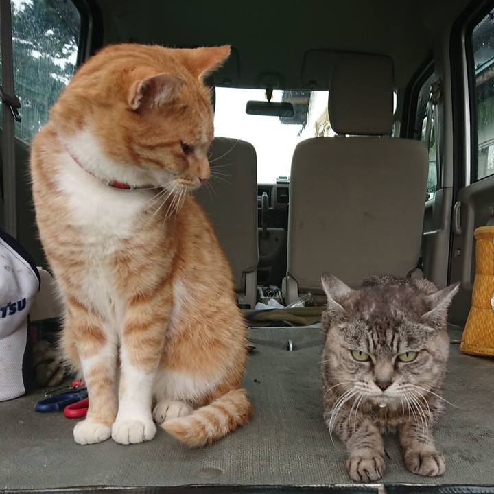 99f70341 3255 4532 abdf 98bf0d32ee28 1571448253615