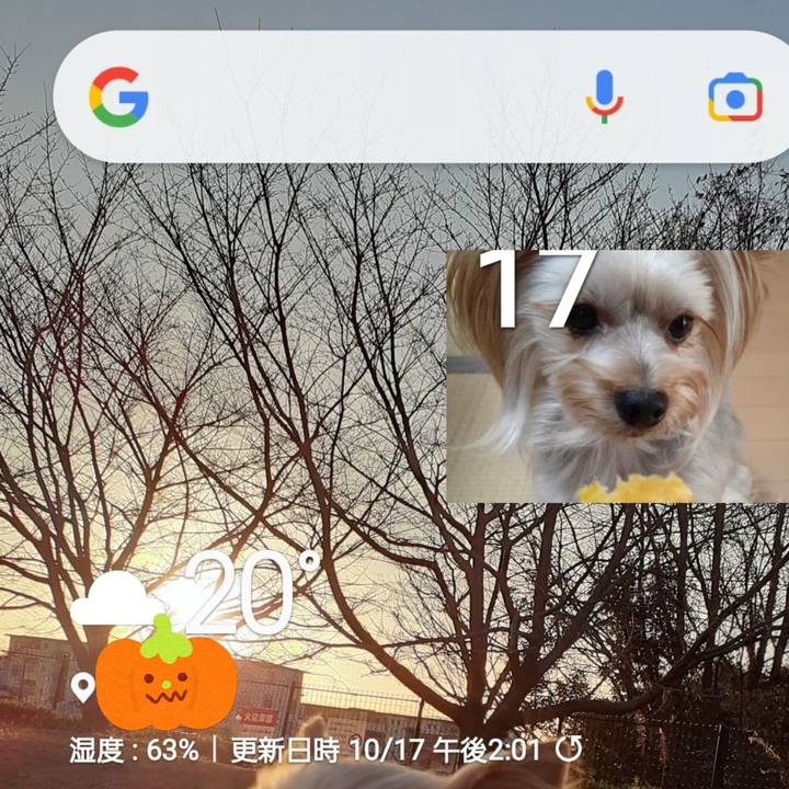 99f711b5 1bb9 4ae5 8ae3 ad19af1618e4 1634447498078