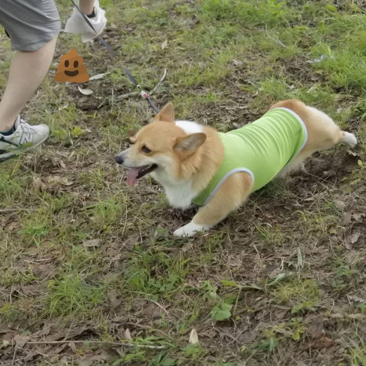 99f71e39 3bf5 45e1 b100 60f4a4c62936 1534301983808