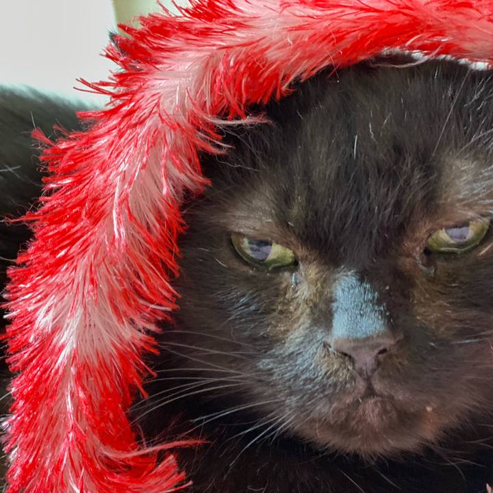 99f7226e 8f2b 4242 8669 b004da6dc9fb 1611880713795