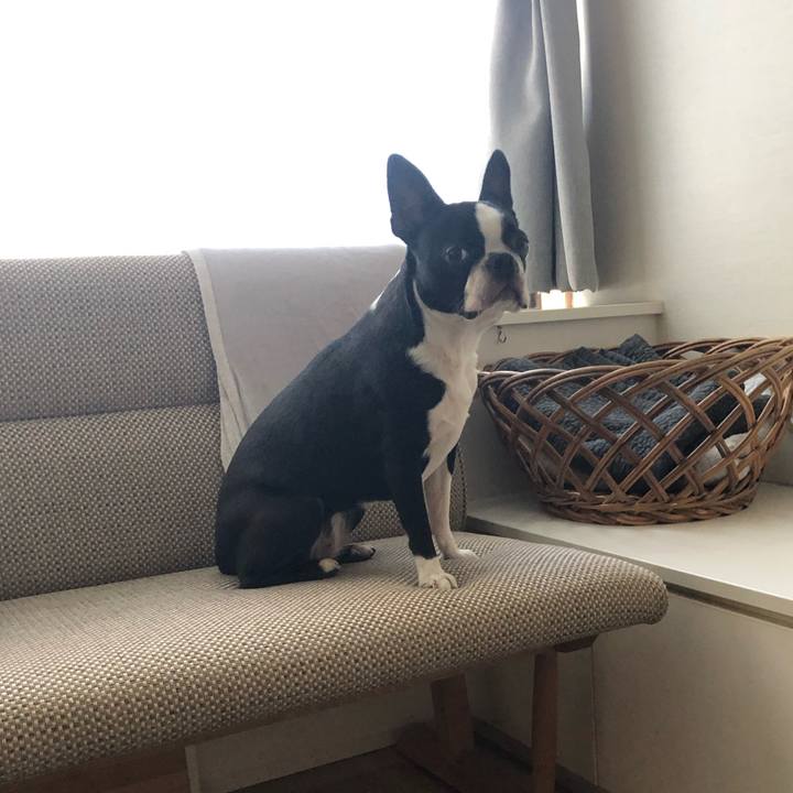 99f725e3 0bf6 4b92 b7a0 aba67d8e923c 1565508930306