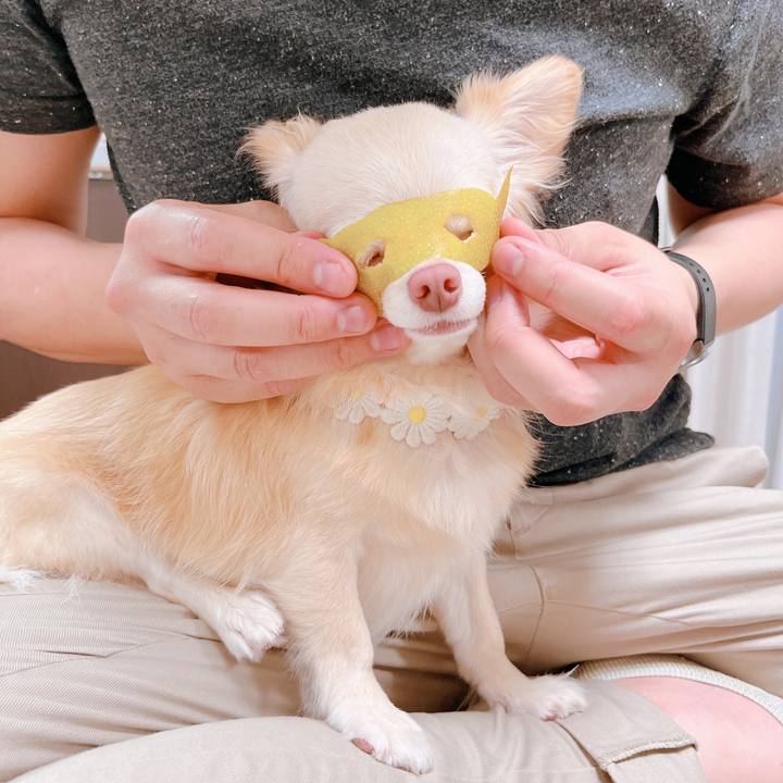 99f7292b 599b 4a88 aff2 077c3f37183b 1660565048491