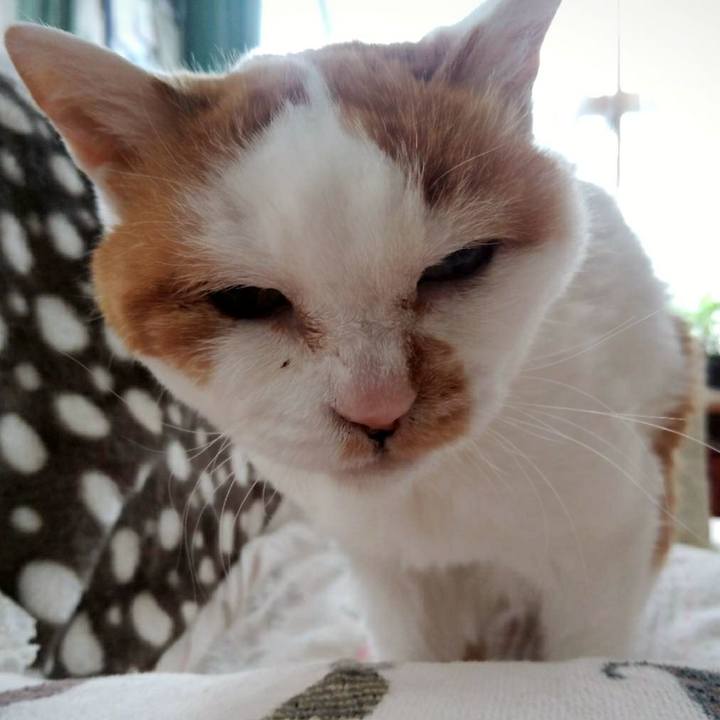 99f76e5b cb26 40b9 bf23 644b2310af2f 1583665594825