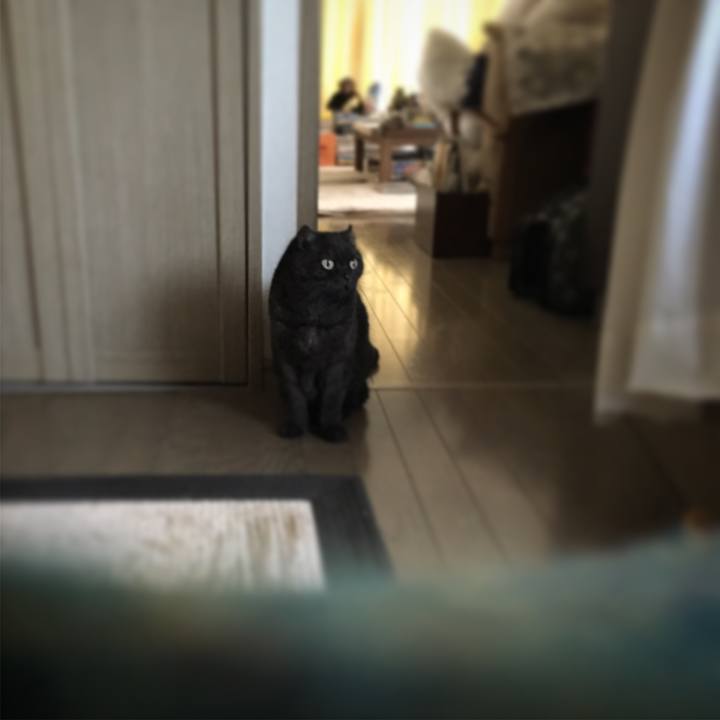 99f7704d 1a9a 4ee1 91b5 f4f806874acd 1510200980557