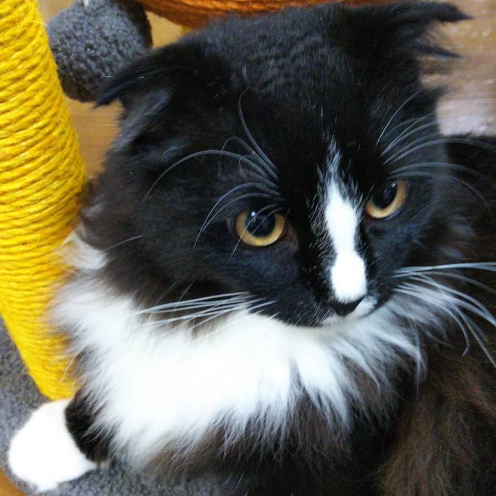 99f78394 c8d6 430d b75e 763ca68e6bd4 1650982000447