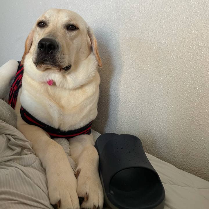 99f7988e 71b6 4593 8583 a41f1ab9e7dd 1634255426054