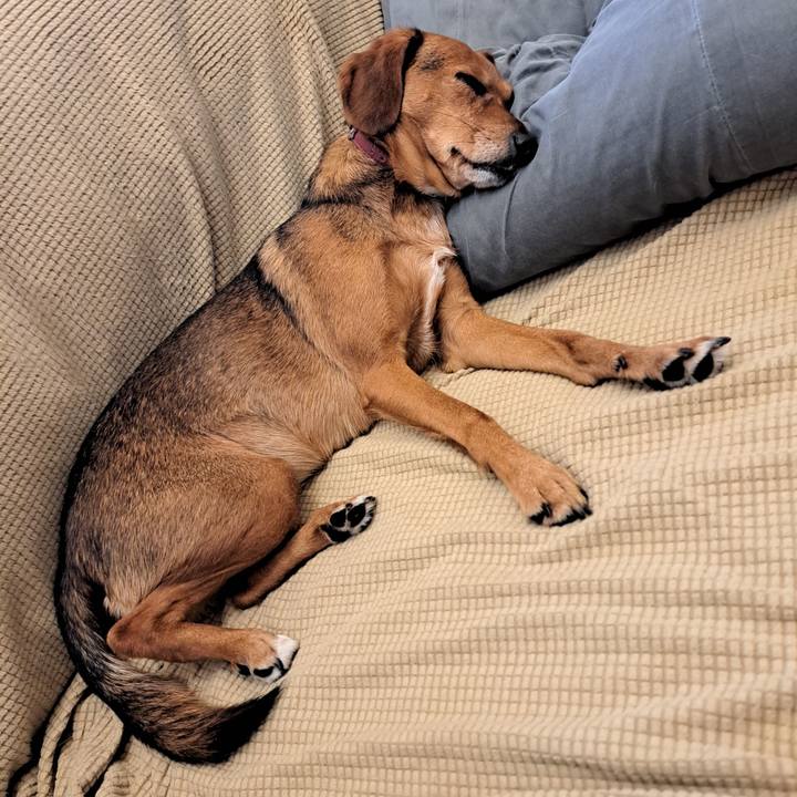 99f7a6b3 8547 4c33 b340 53dd4e5e0524 1763781276077