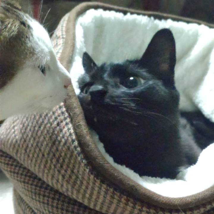 99f7bec6 5298 4f09 8485 956d89dfdb2f 1704285354376