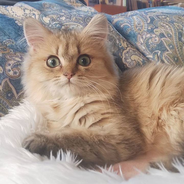 99f7de58 d620 4642 abc9 39dc6fd0859c 1557300126176