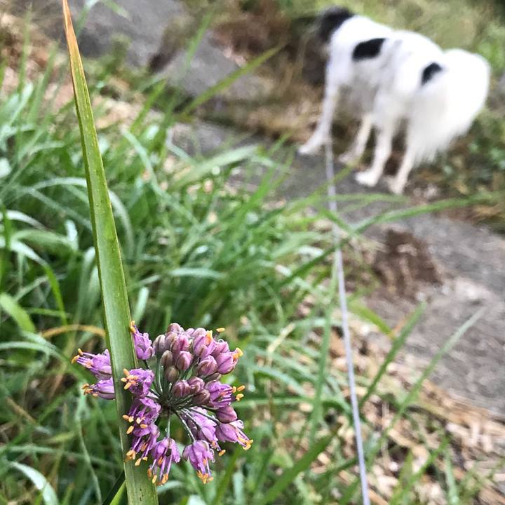 99f81056 09a4 4791 bb9a 1d093966edc3 1539957808788