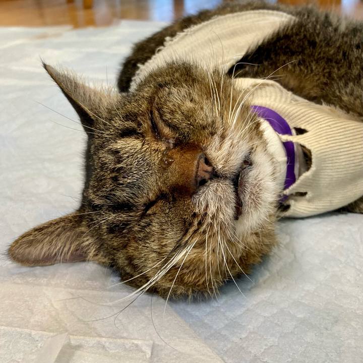 99f82464 8e63 4cd2 a438 358800bdc6fb 1689131578034