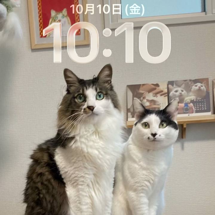 99f82e64 bfc3 4fd2 8da5 421d81c675c3 1760058659475