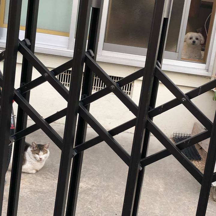 99f85890 7b94 4aaf a44e 918dd6abc425 1560602457157