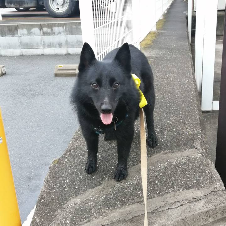 99f8bb48 5efd 414b 972c ecb2c973d52b 1655328448498