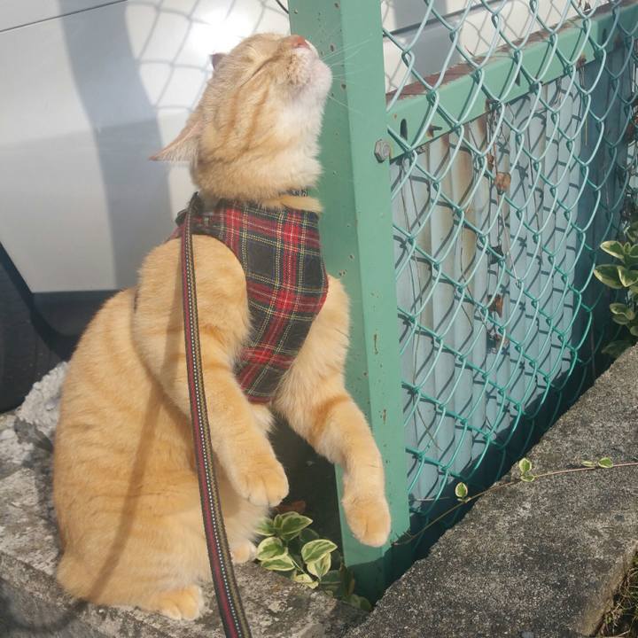 99f8bdd4 737f 4696 833d 3530e6a389fe 1572408584914