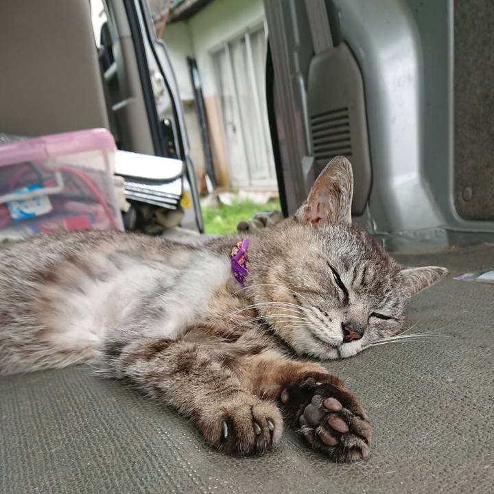 99f8c8bf efaa 4567 8ba4 3634ea19eae8 1594432534450